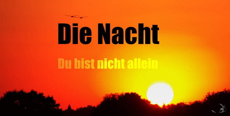 Songgeschichte: Die Nacht ... Du bist nicht allein