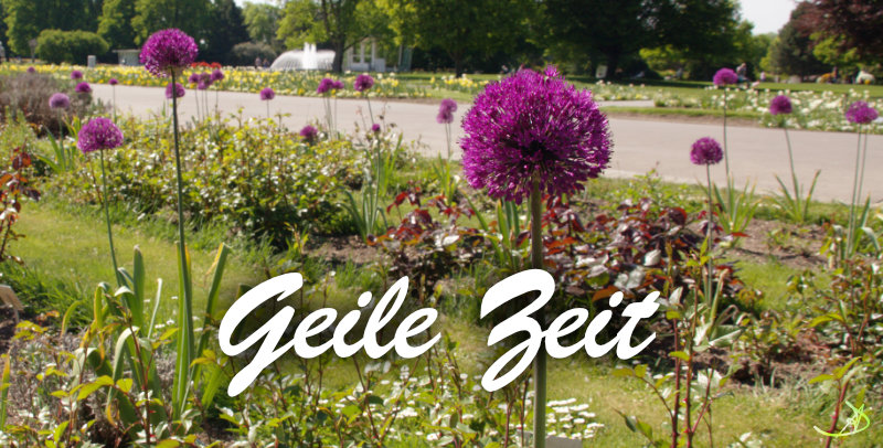 Songgeschichte: Geile Zeit