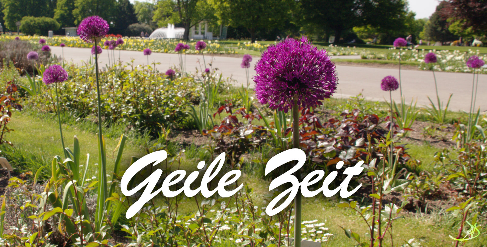 Geile Zeit A.D. schreibt