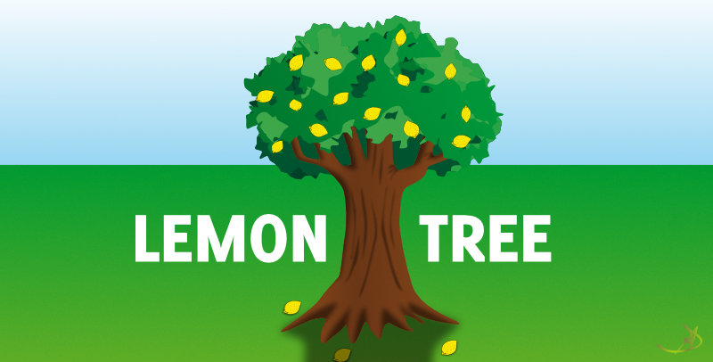 Songgeschichte: Lemon Tree